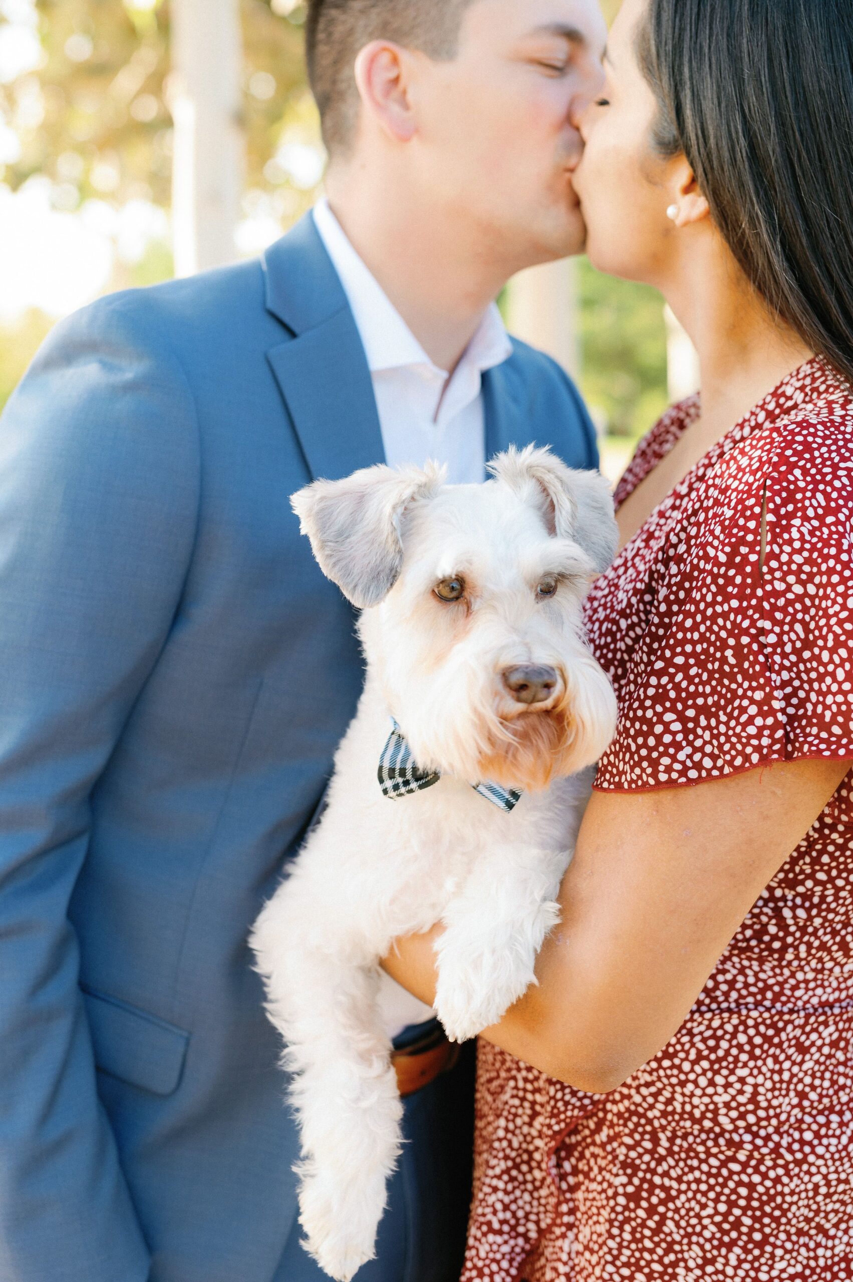 Houston Engagement with Schnauzer