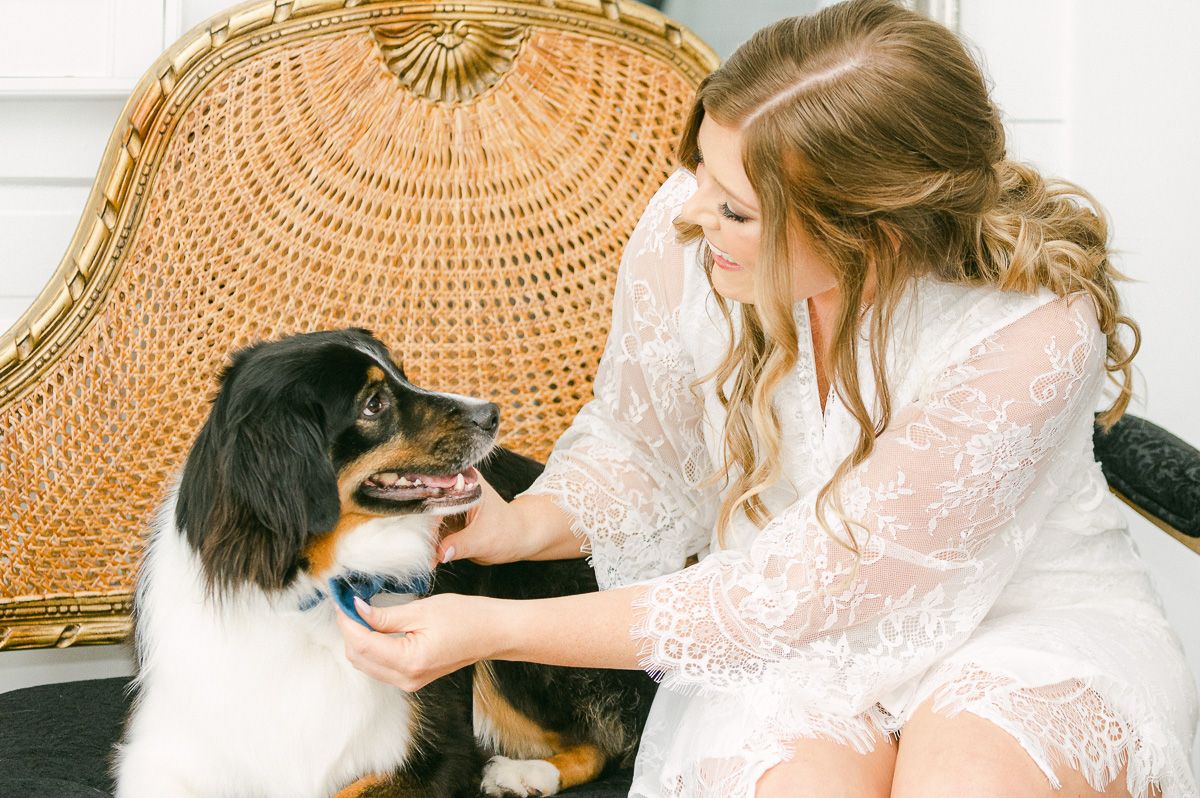 bride with get dogs before the wedding