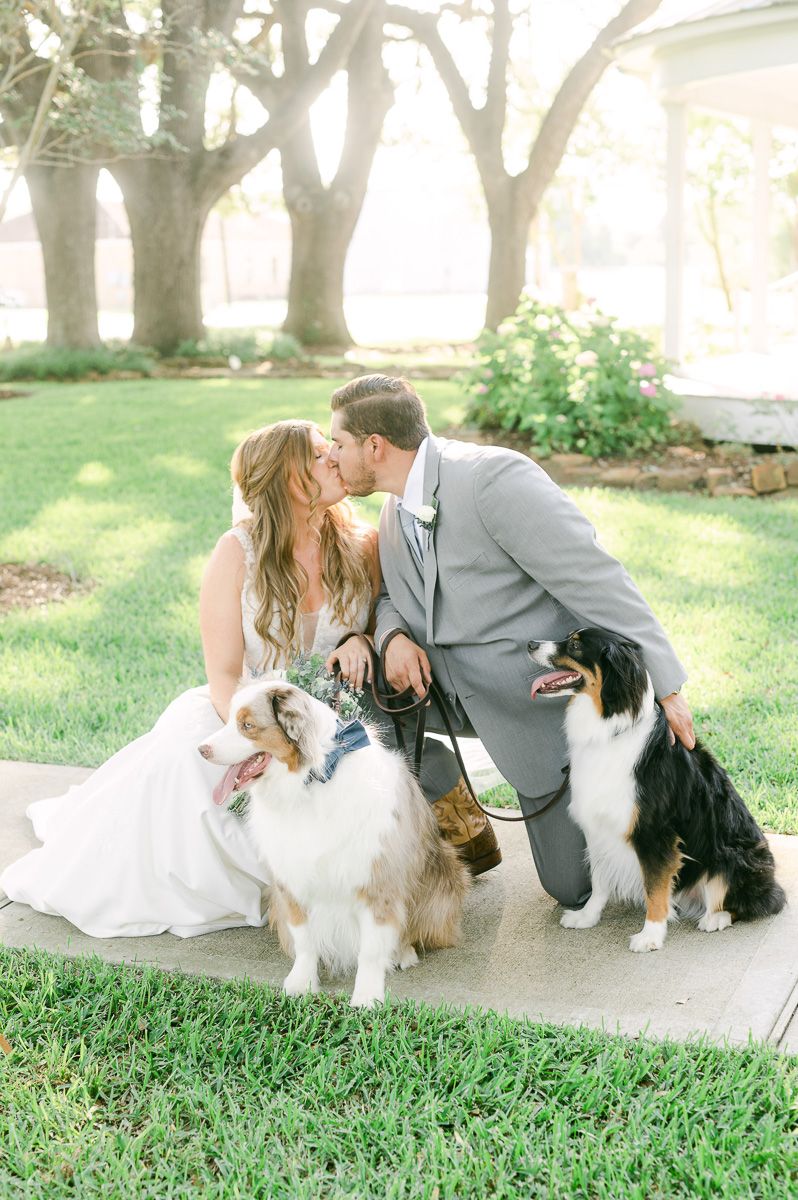 bride and groom with their dogs in front of The Pattison House