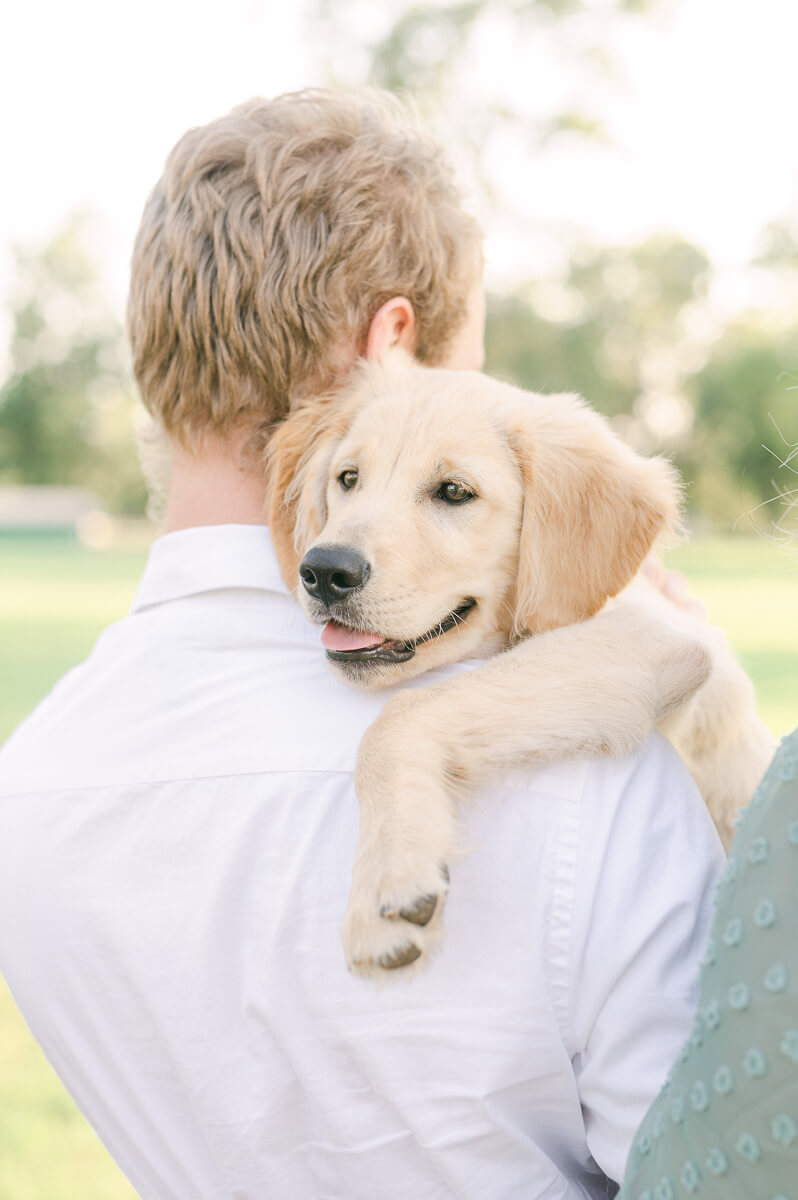 couple and golden retriever puppy during their houston engagement session 