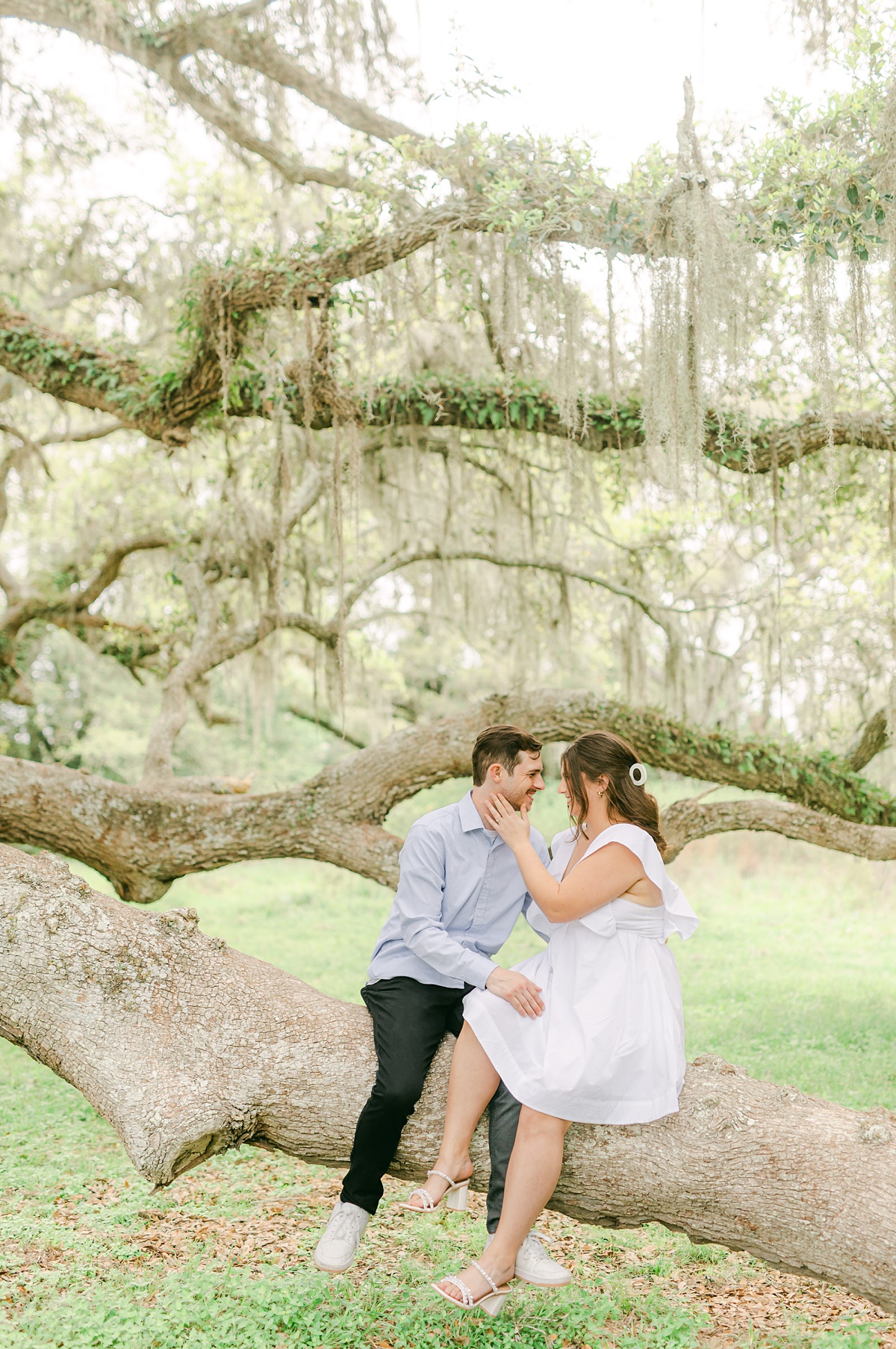 couple sitting on a large mossy tree