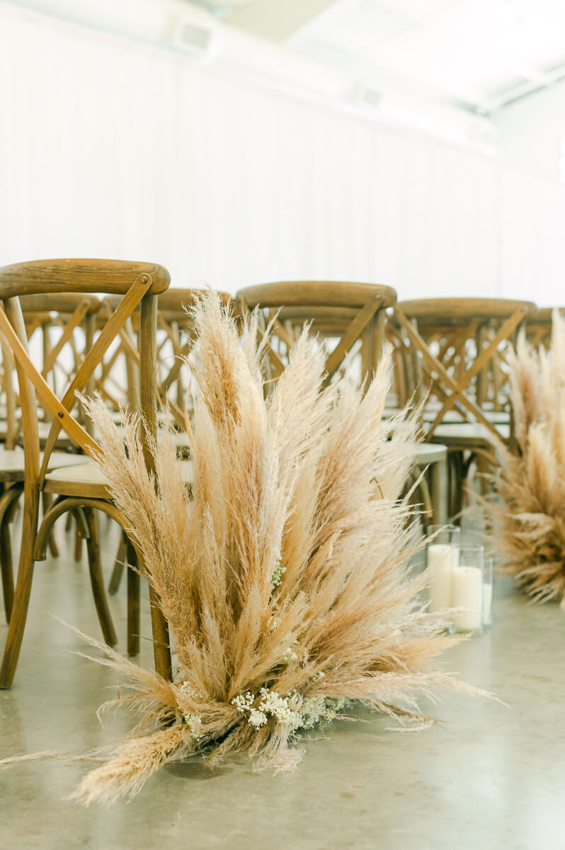 pampas grass