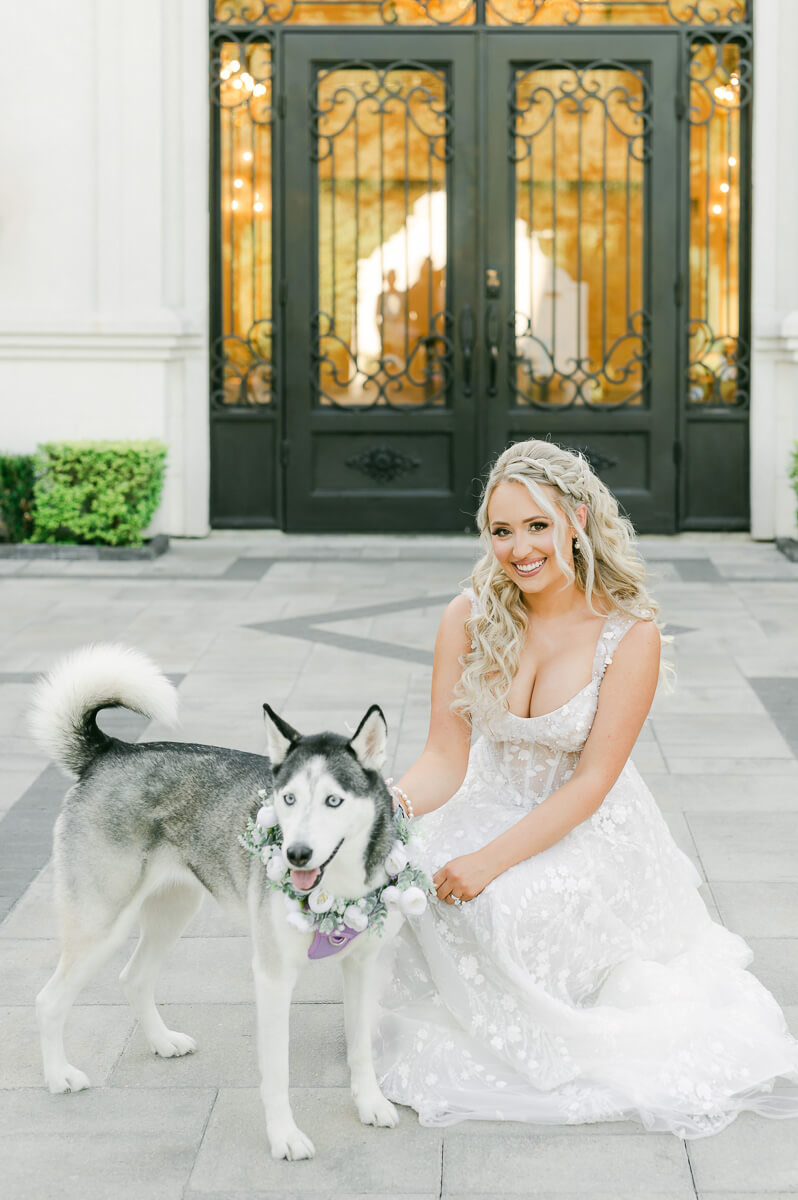 a bride with her husky at her houston bridal session