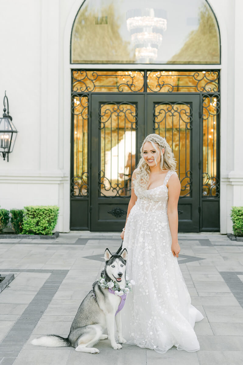 a bride with her husky at her houston bridal session