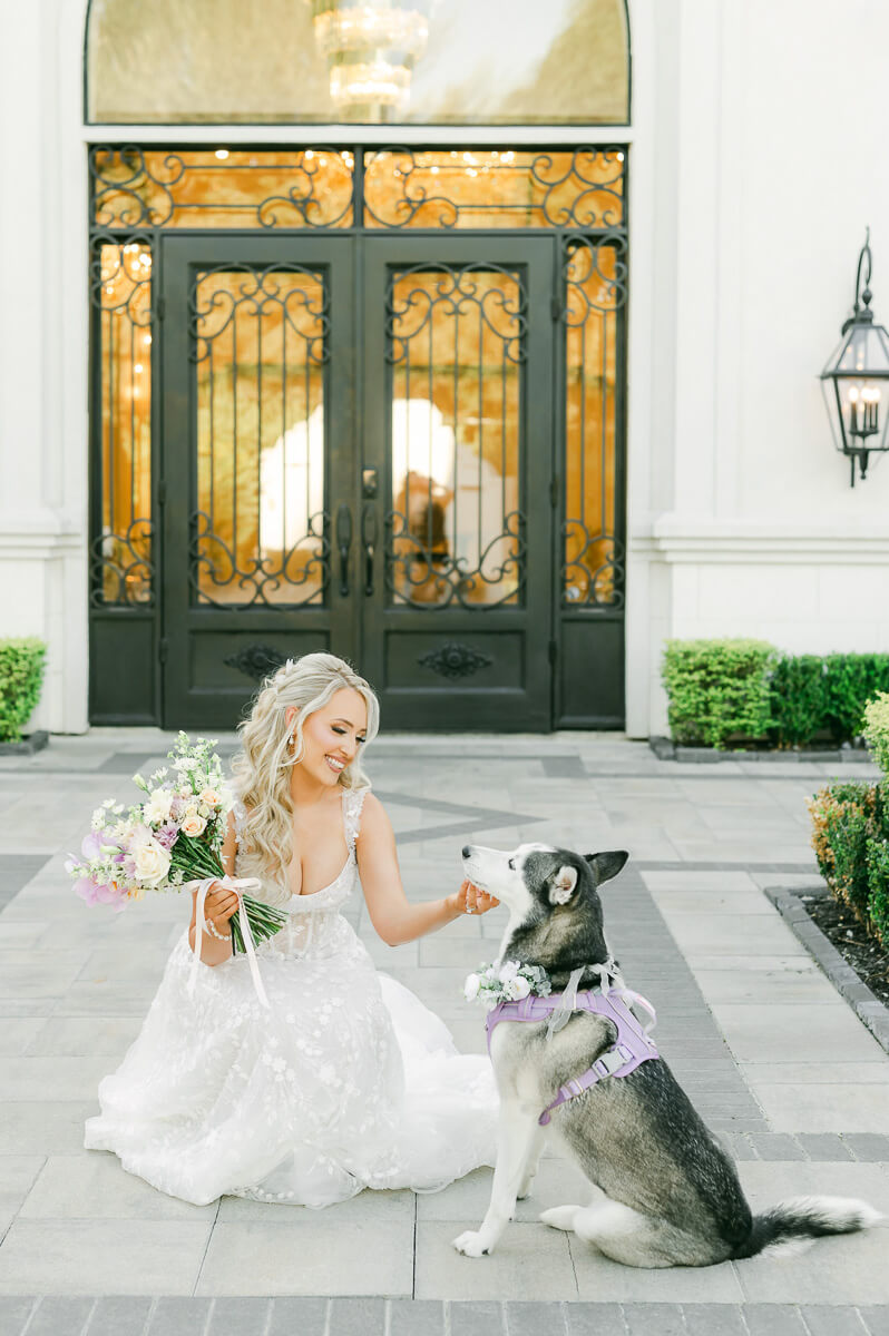 a bride with her husky at her houston bridal session