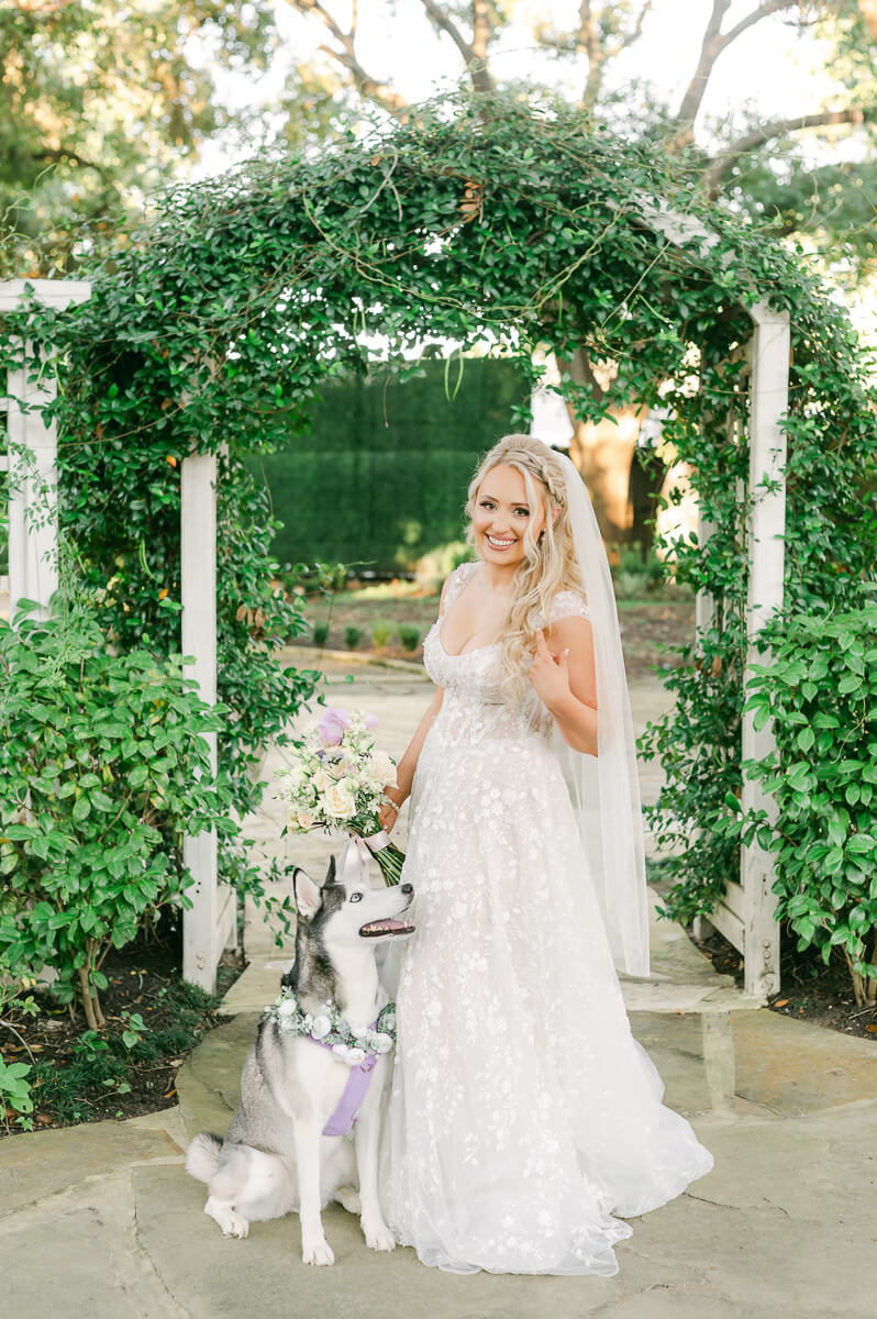 a bride with her husky