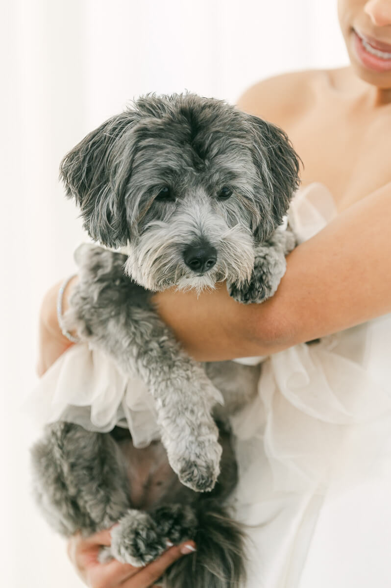 bride with her dog at the grand galvez hotel