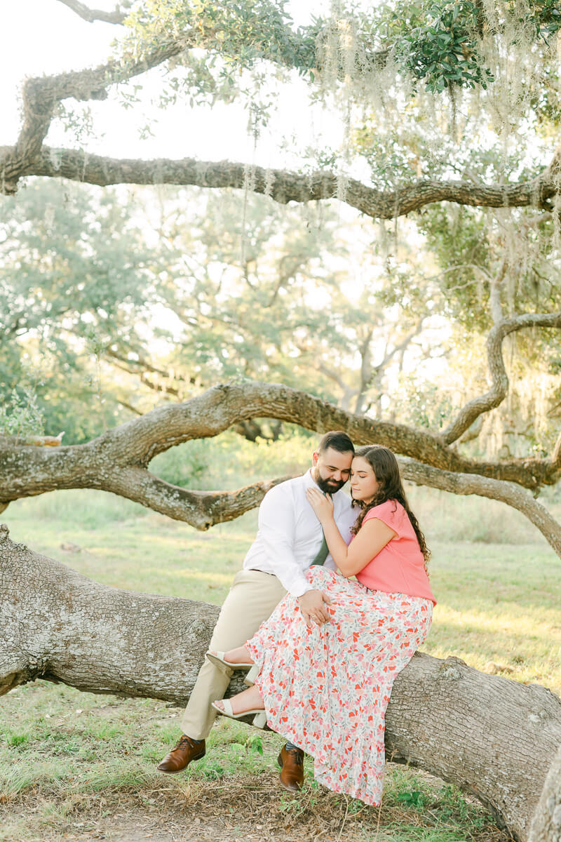 engaged couple sitting in tree at brazos bend