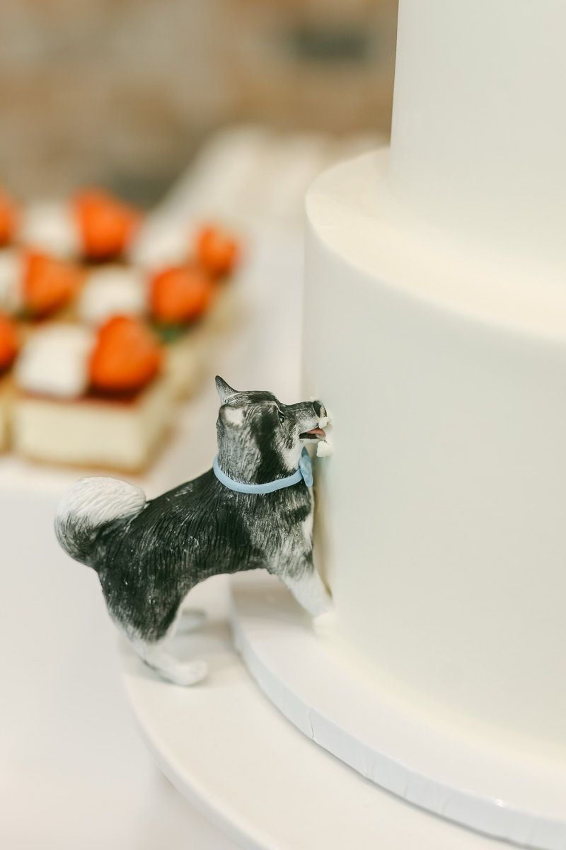 wedding cake with dog