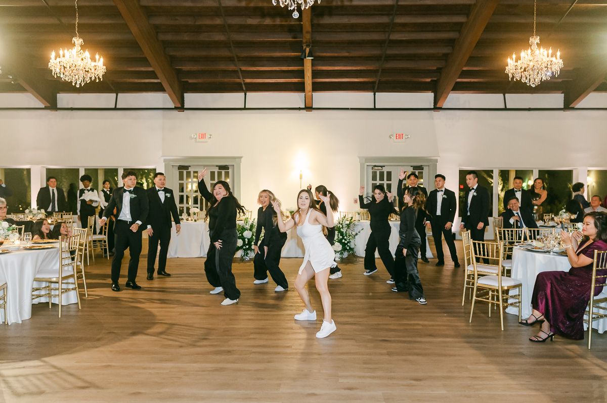 choreographed wedding party dance at reception